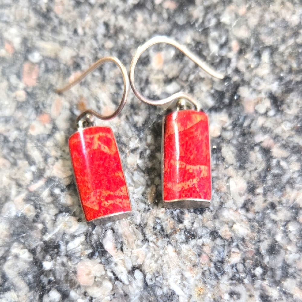 Vibrant Red Stone Drop Earrings